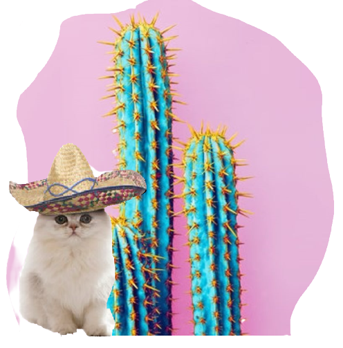 A cat wearing a sombrero on a background of cactus